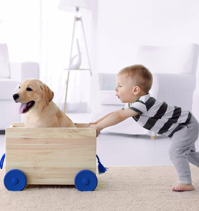 Sicher für Kinder und Haustiere