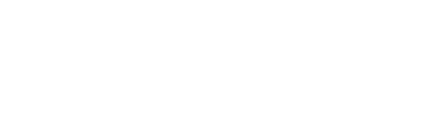 Pegasus Schädlingsbekämpfung